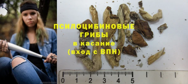 таблы Арсеньев