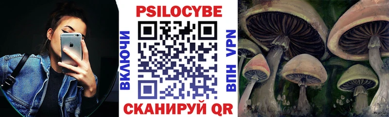 закладка  гидра ONION  Псилоцибиновые грибы Cubensis  Судак 